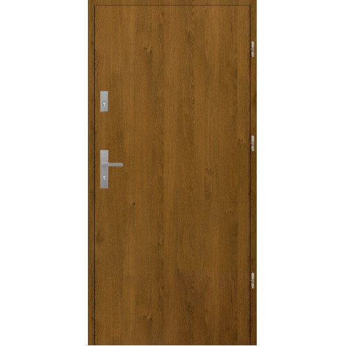 Stahl-Eingangstür AluDoor 72mm Full Winchester