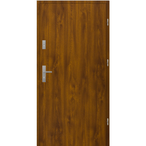 Stahl-Nebeneingangstür AluDoor 55mm Massivholz Golden Oak