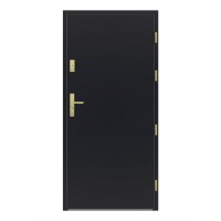 Vonkajšie vchodové drevené dvere Doskové FAV-06 - hladký povch bez štruktúry