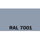 1.RAL 7001