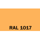 2.RAL 1017