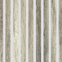 Akustický panel Design line Folie Dub grand na bílé HDF 2600 x 400 x 21 mm