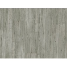 Vinylová podlaha Thermofix PRO Wood Buk arktický 14170-1